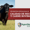 Diplomatura en Calidad de Res y Carne Bovina