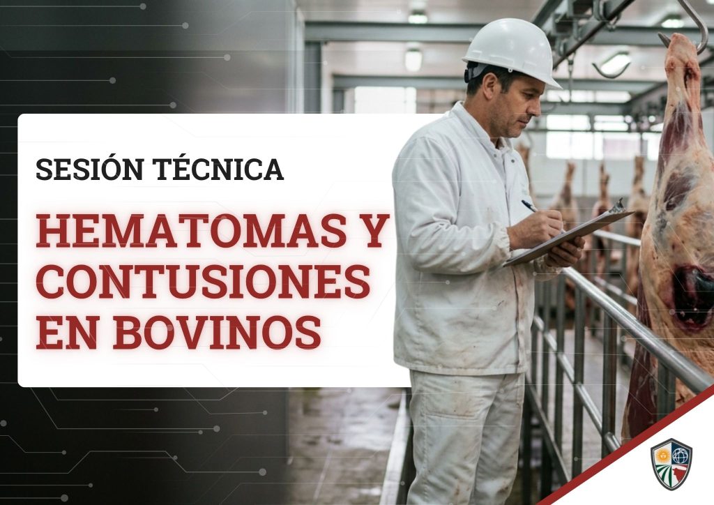Sesión técnica - Hematomas